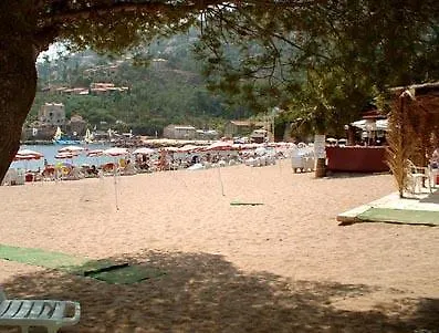 Maison Les Camélias Hébergement de vacances